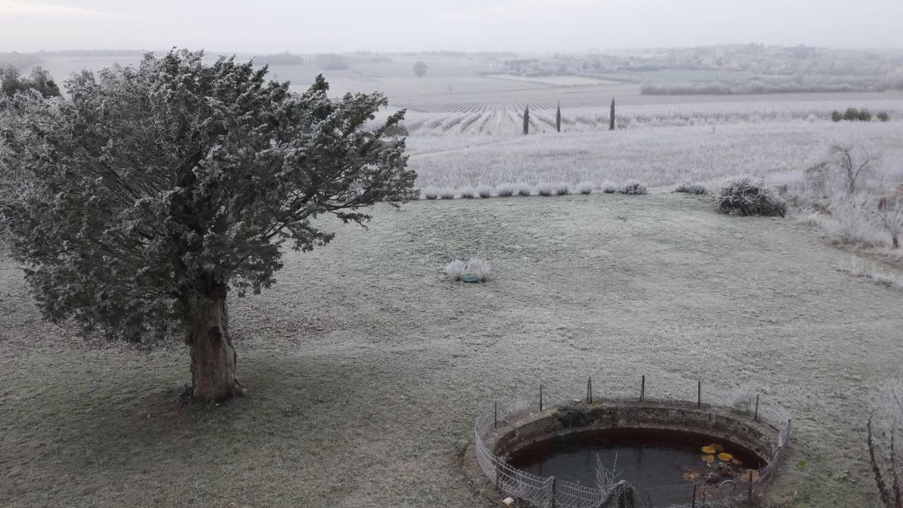 Mareuil  Le Dojo Du Plessis B&B 외부 사진